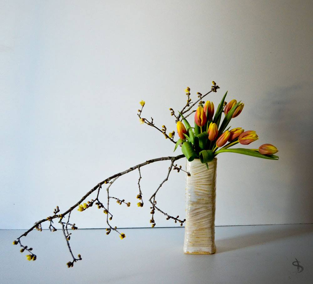 15895493_10211640164150311_5054878758500764972_o