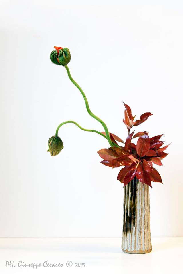 1506609_10206480106032083_1991917154783648603_n