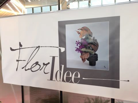 17327850_10212327273327611_1572703315_n