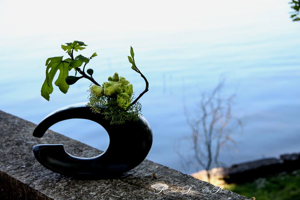 17522923_1014686878631178_7911028364496693654_n