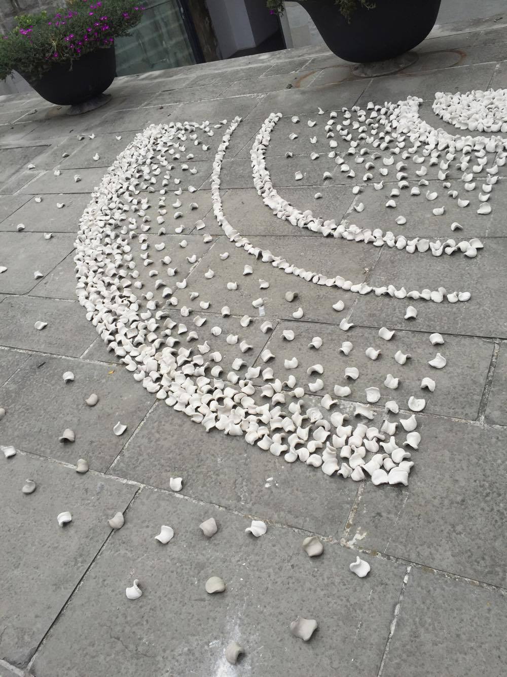 18493618_10212933730368658_2050117411_o