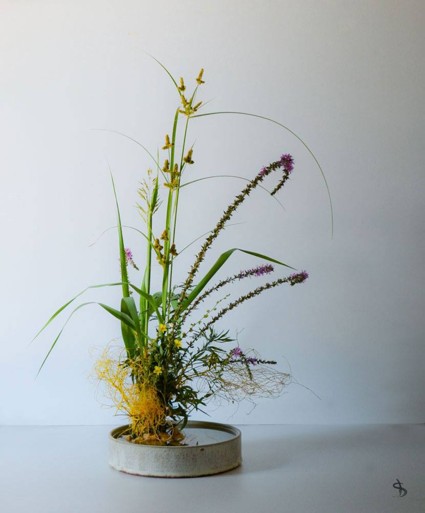 20818923_10213900721582834_1286650545684760361_o