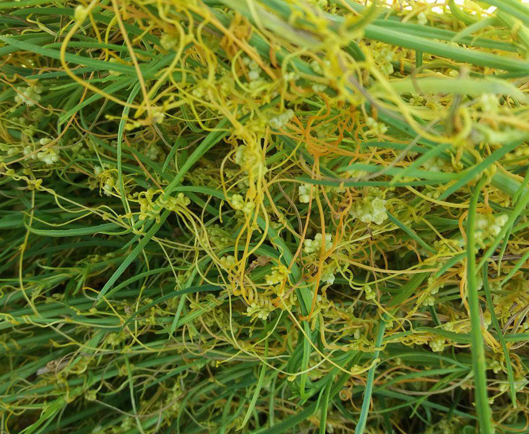 20934239_10213893857291662_837727885874269404_o