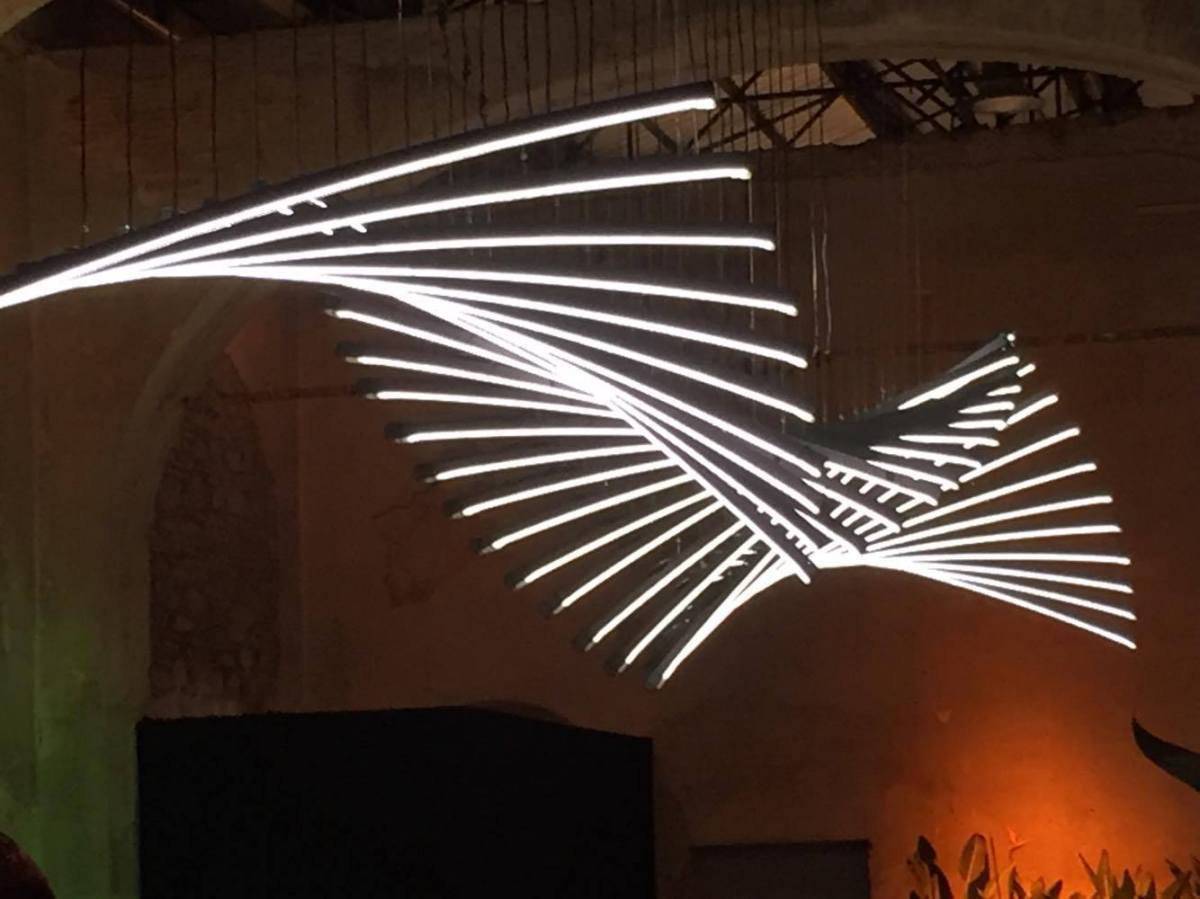 21616989_10214098094397031_1516750588_o