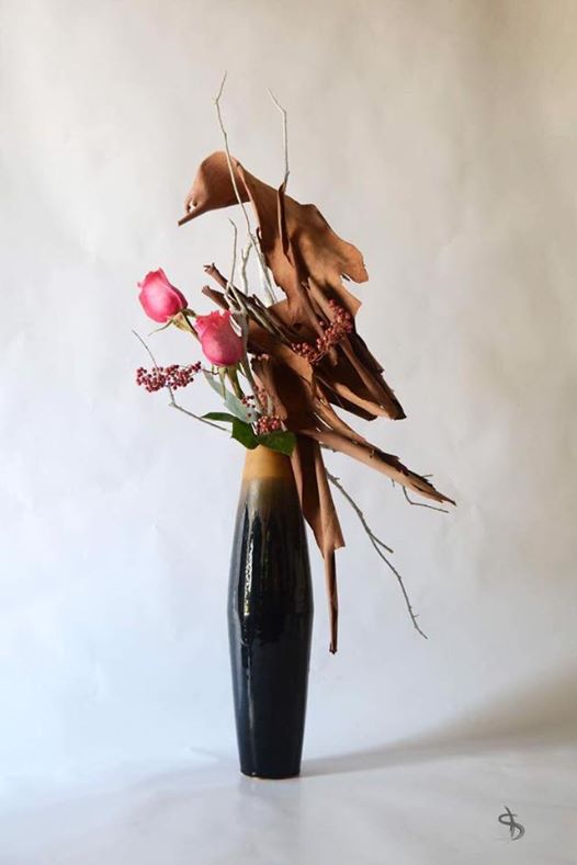 22089682_10214251802519638_2890803113941400778_n