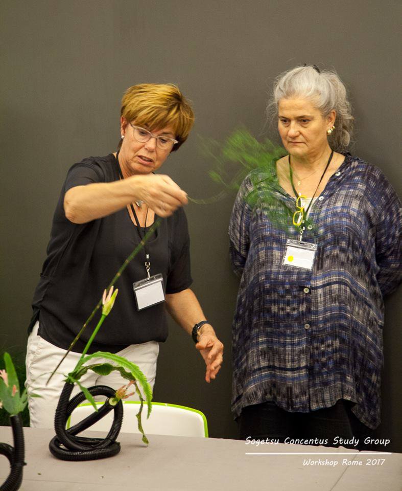 22539765_1519413138105628_9056126407651638872_n