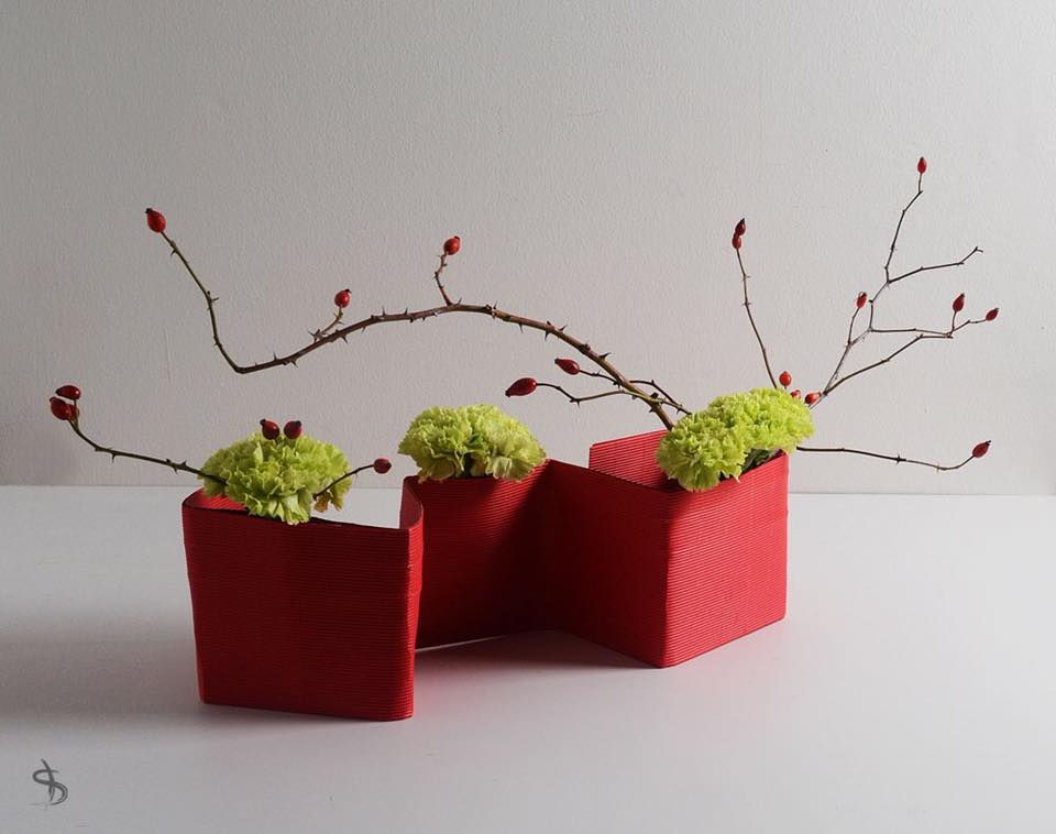 26001019_10214937133652488_4260063604845952088_n