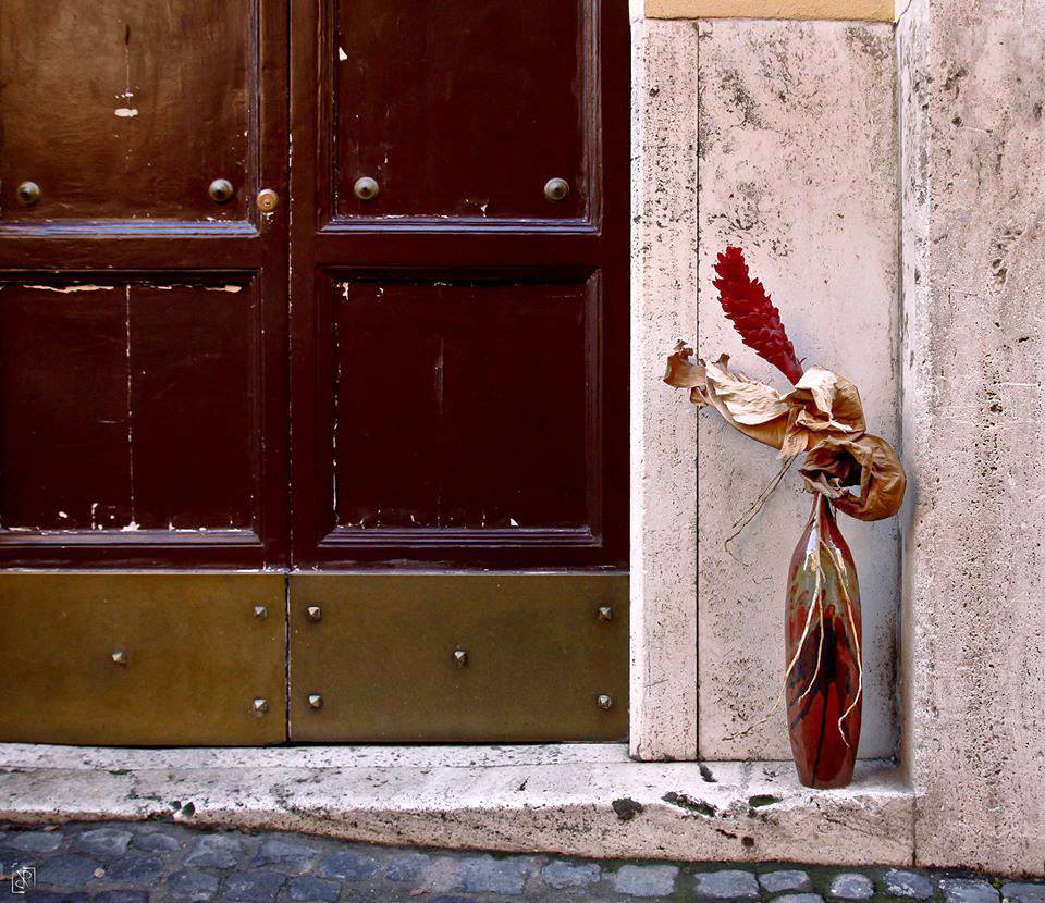 26991880_10215154613449347_270428481111819687_n