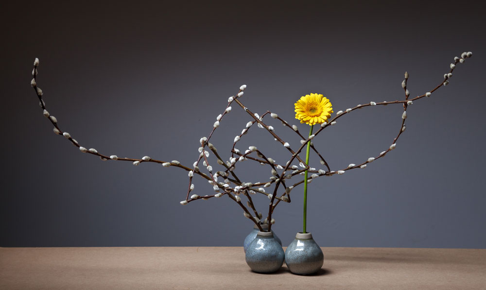 Silvia-Barucci-20180203-129w