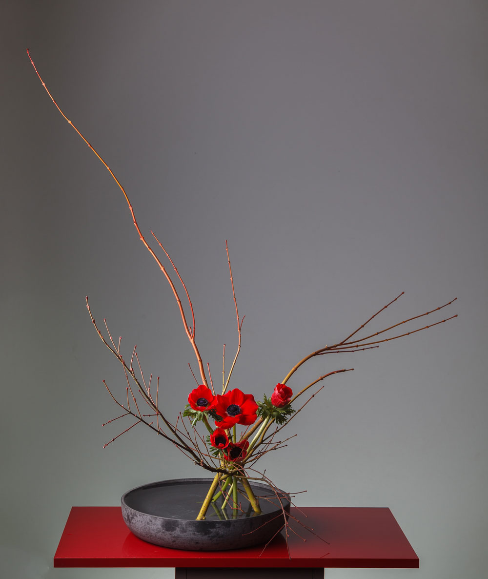 Silvia-Barucci-20180204w