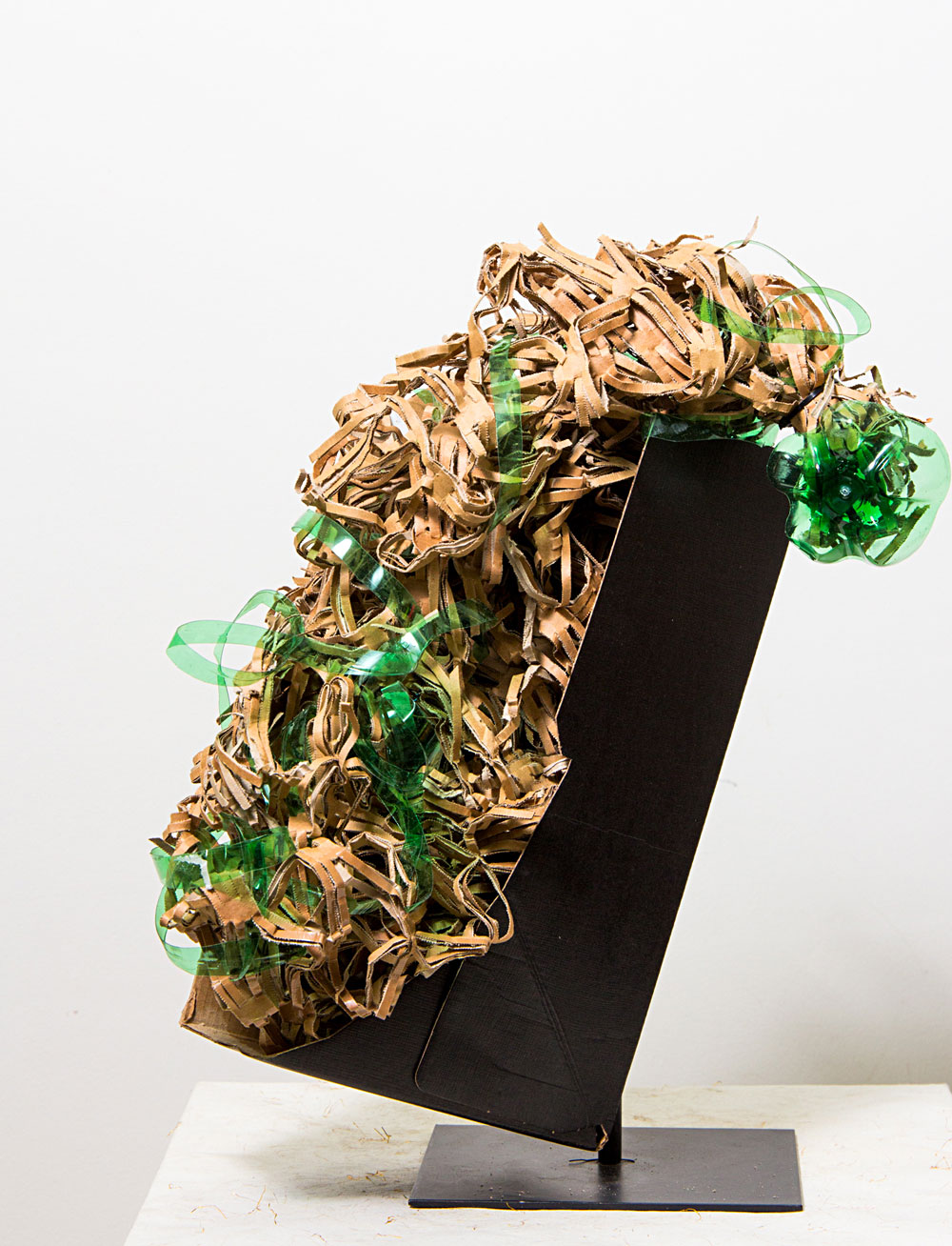 Silvia-Barucci-IMG_3988w