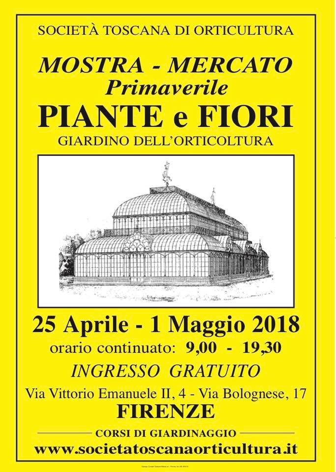 30742171_10215817003449114_7443181575406830810_n