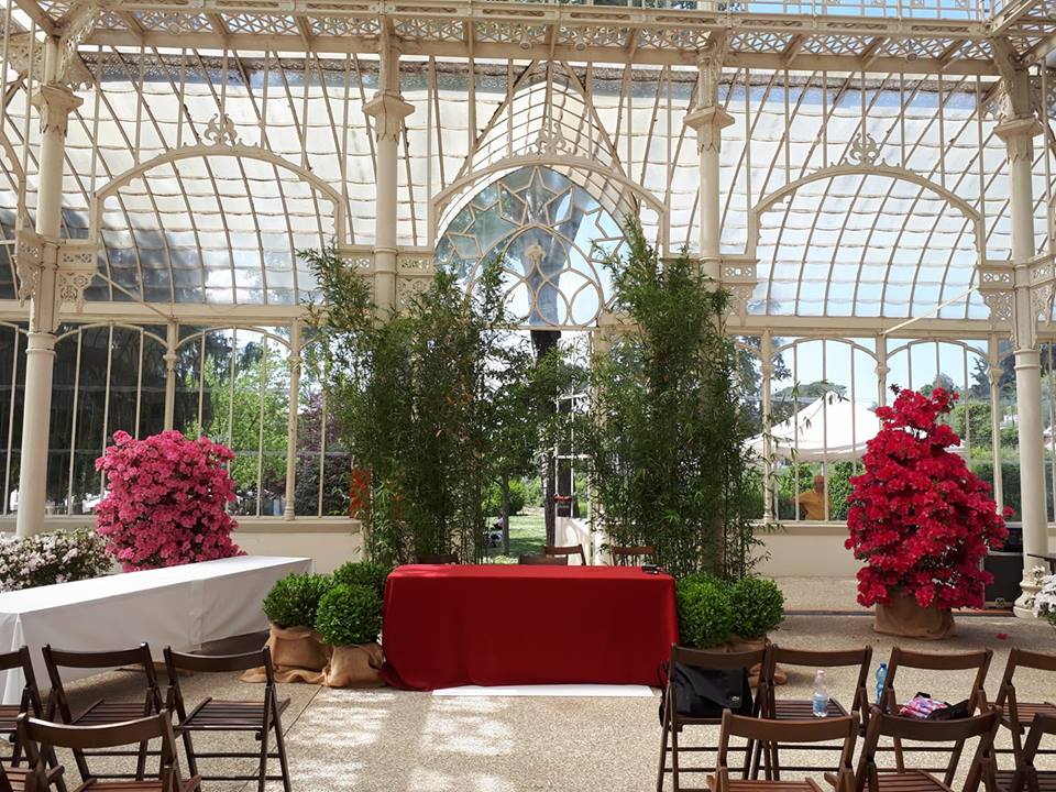 31408049_1701303986583208_1589705483743133696_n