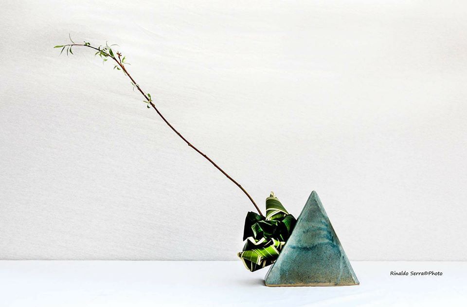 31437367_1701823546531252_508318630841155584_n