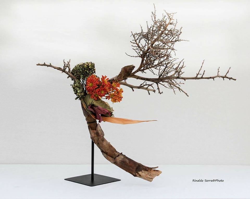 31450705_1701823479864592_1343108269995982848_n