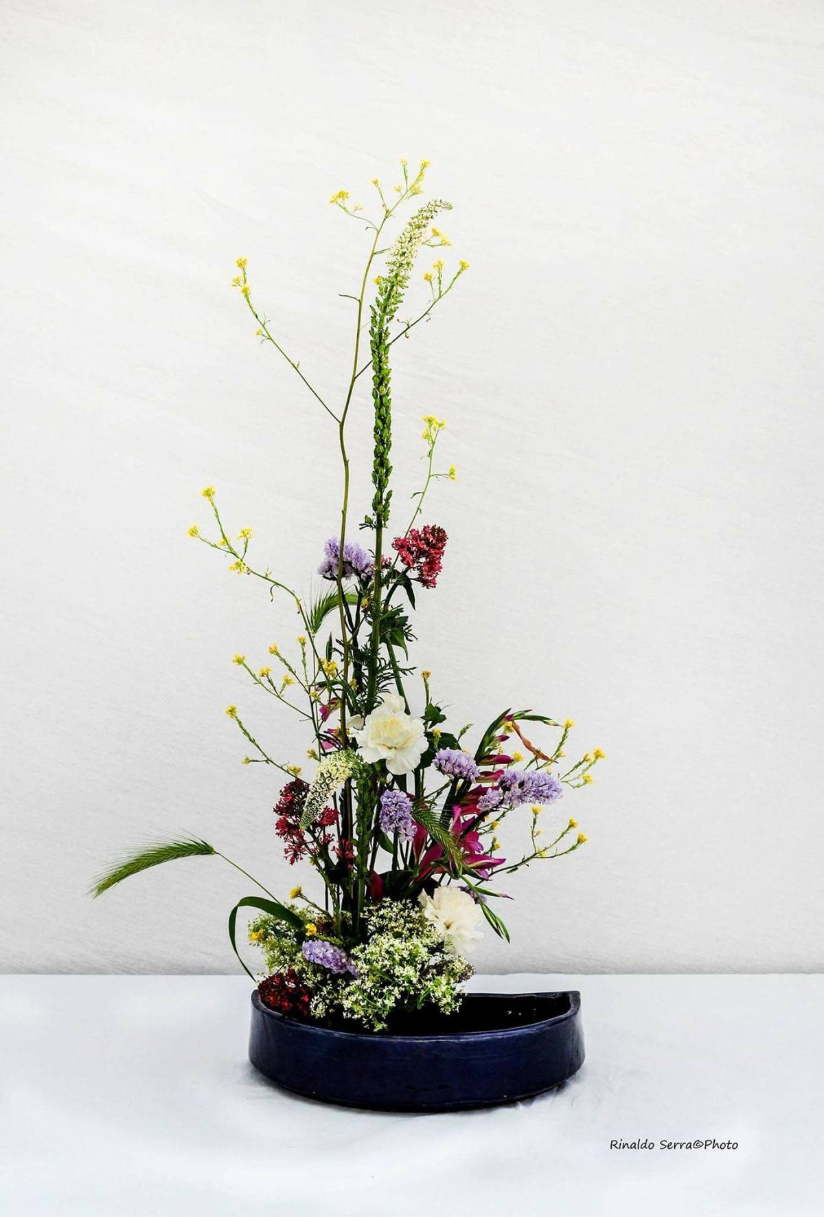 31454069_1701823646531242_8617955340891193344_o