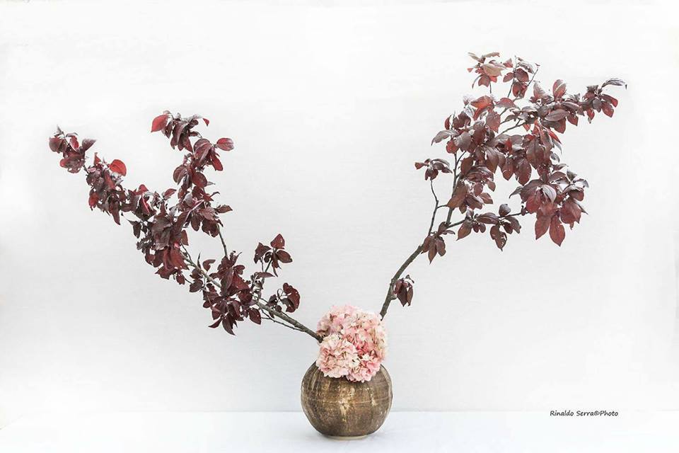 31488120_1701823826531224_5947424313521995776_n