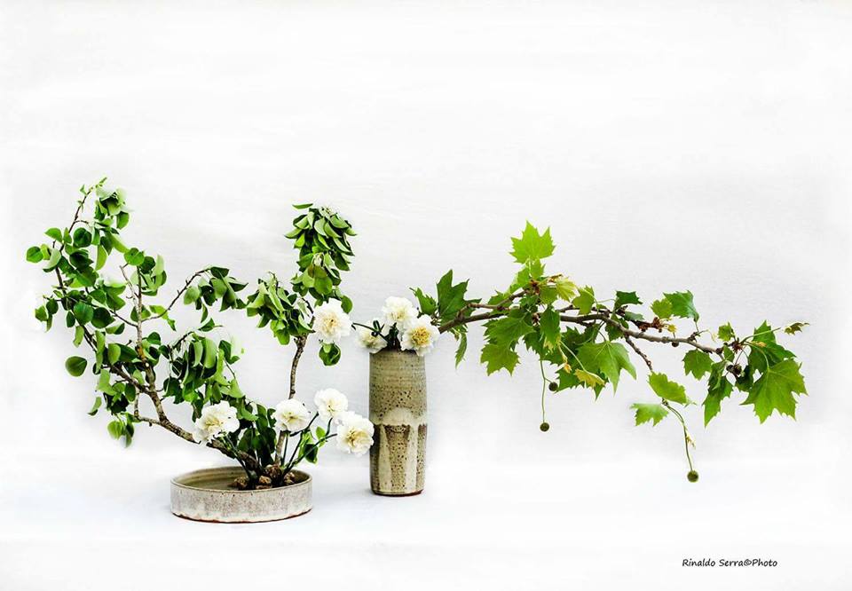 31502995_1701823396531267_6699568770333016064_n