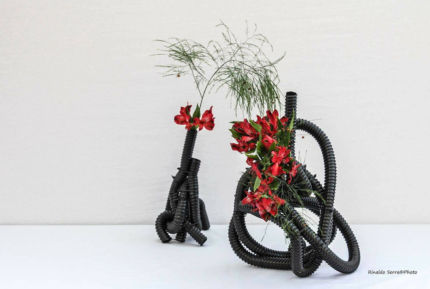 31433342_1701823793197894_7382045894075482112_o