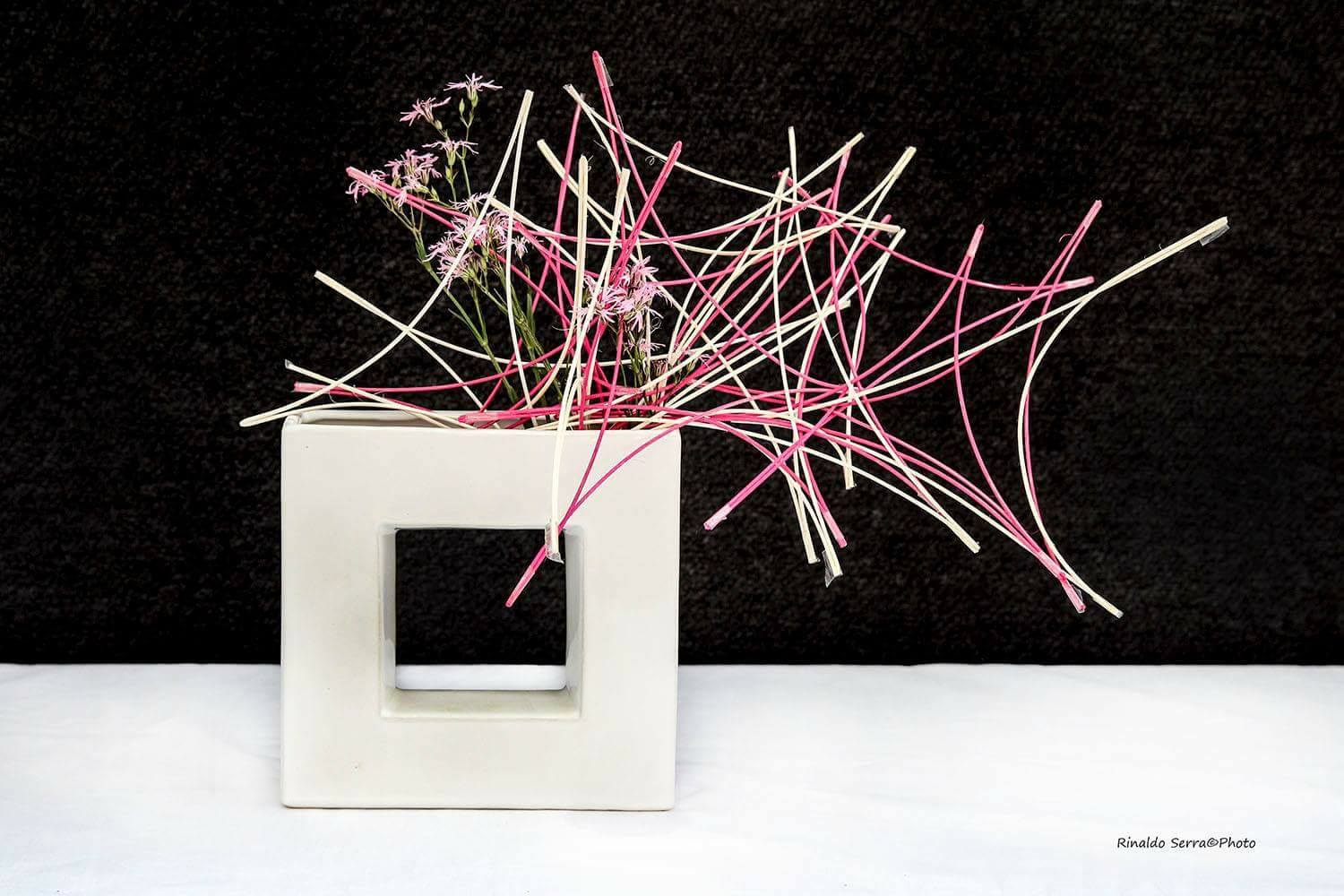 31577898_1701823713197902_573728152375787520_o