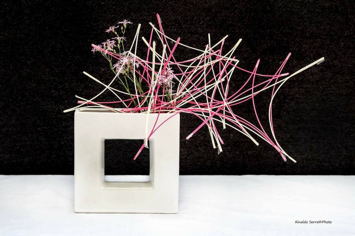 31577898_1701823713197902_573728152375787520_o