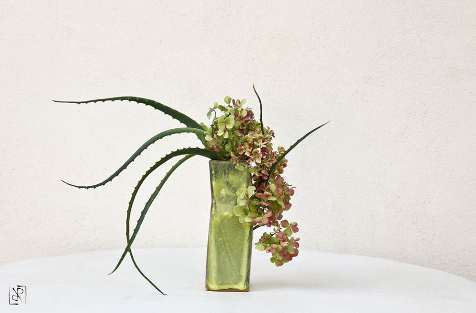 10731115_10207789817774058_7959716162559588600_n