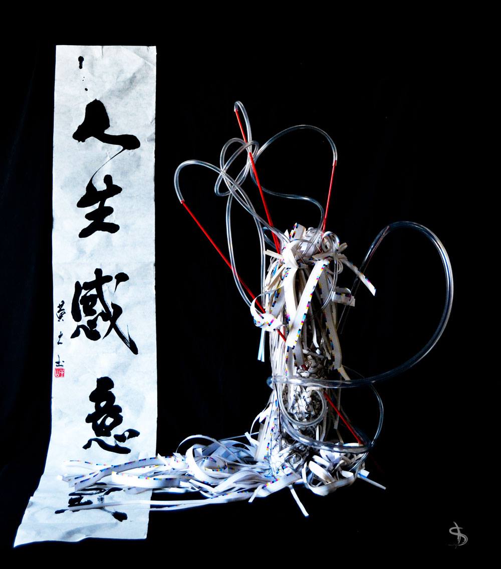 16836614_10212099313108748_3134173477177670185_o