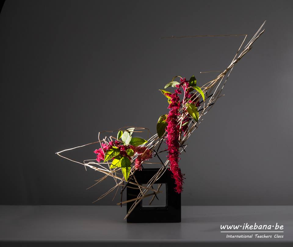 44890947_1873772096003481_2974861097019899904_n