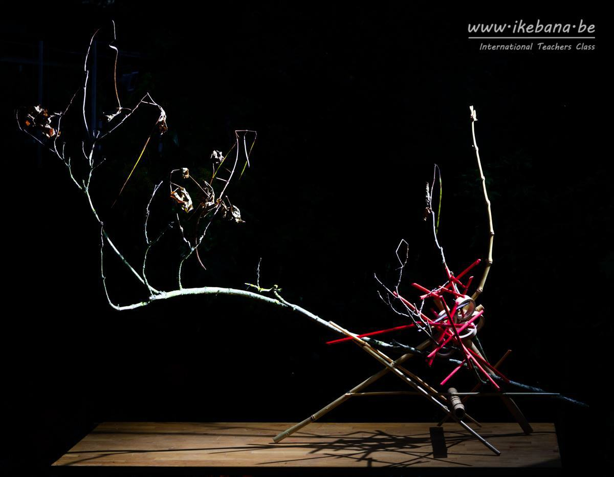 44901153_1873771972670160_2308233497816334336_o