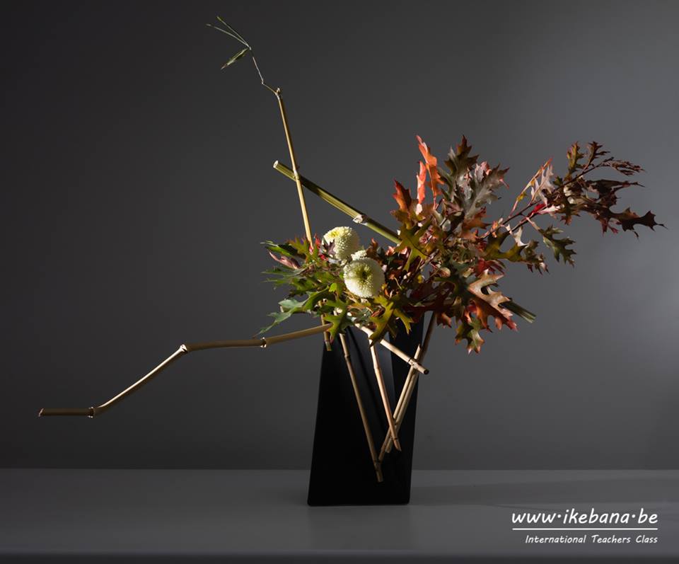 45029978_1873771982670159_2089768410052296704_n