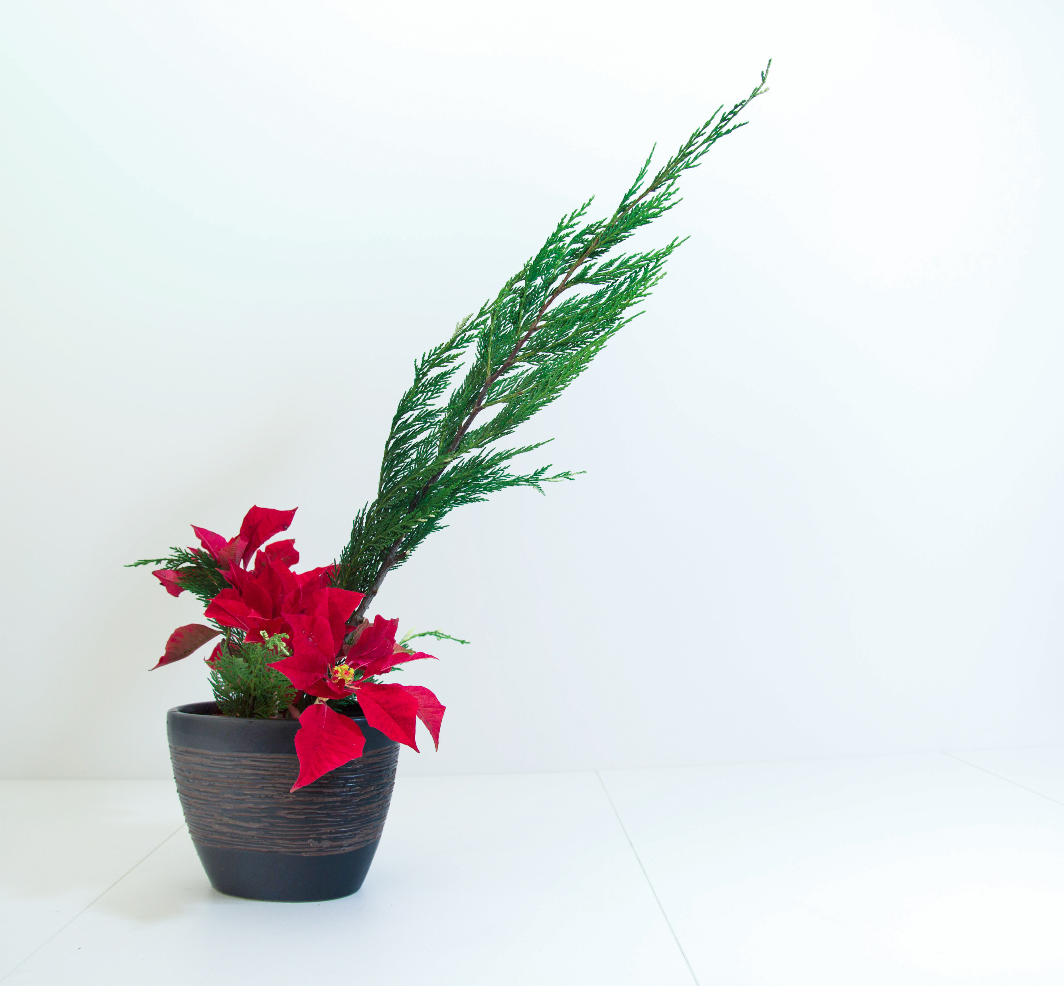 Arrangements for Celebrations