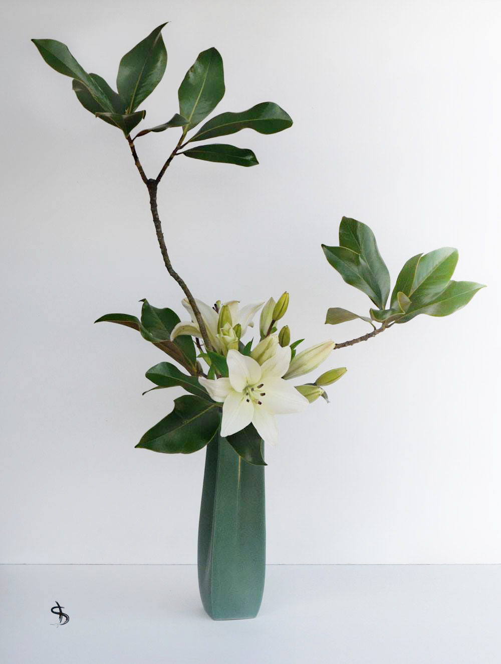 49800240_10218092283849271_5175525468165636096_o