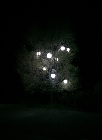 58543517_525137168012570_8147545242455769088_n