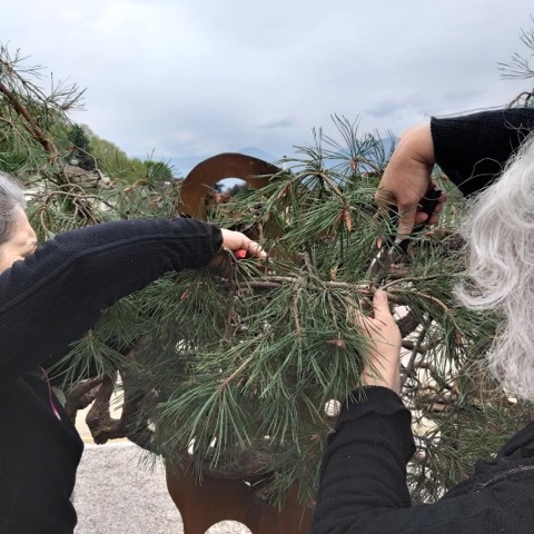 59393894_2306713199379496_3371360318734204928_n