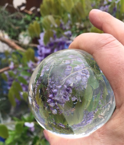 59698271_1005883112950694_7166594606337884160_n