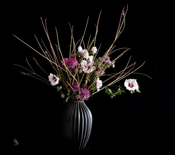 119993210_1947643498706113_105585686215303932_o