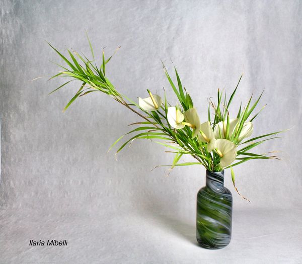 120002623_1948617405275389_1114615352009132290_o